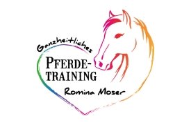 pferde_training